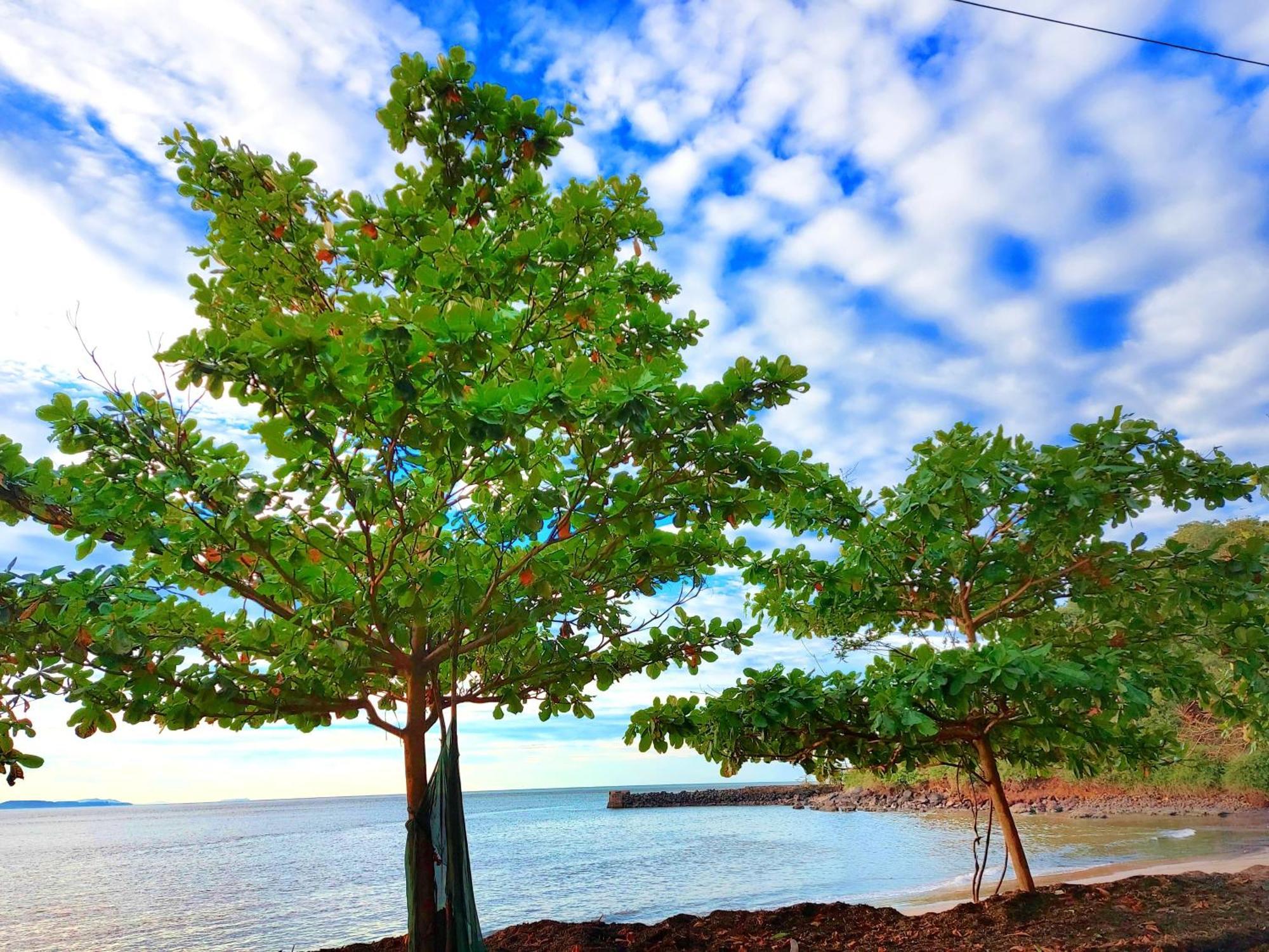 Navni Beach View Stay Gokarna  Esterno foto